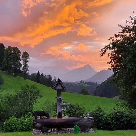 Biobauernhof Schoettelbauer Rosenau am Hengstpass Екстер'єр фото