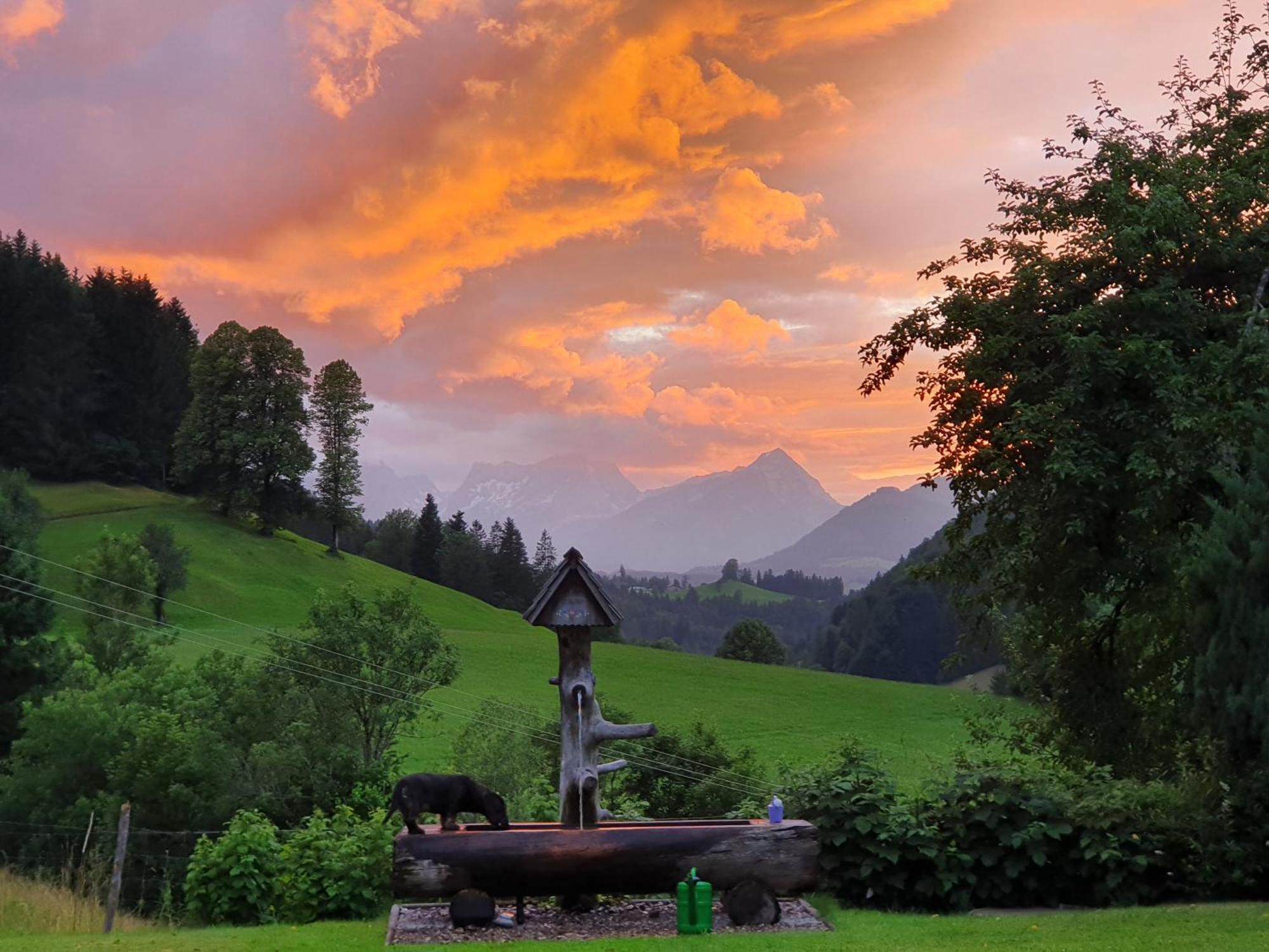 Biobauernhof Schoettelbauer Rosenau am Hengstpass Екстер'єр фото