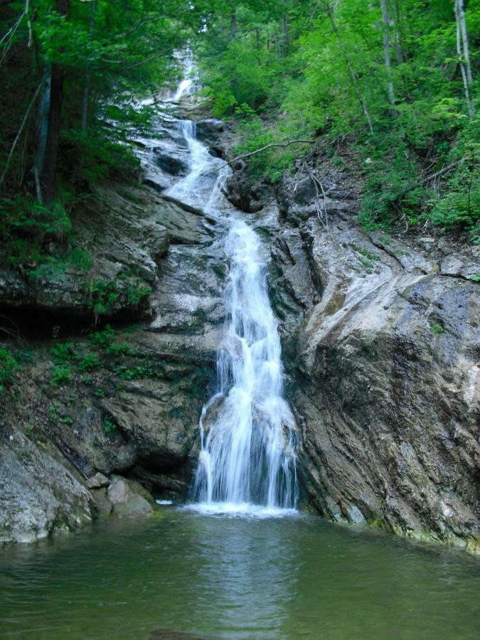 Biobauernhof Schoettelbauer Rosenau am Hengstpass Екстер'єр фото