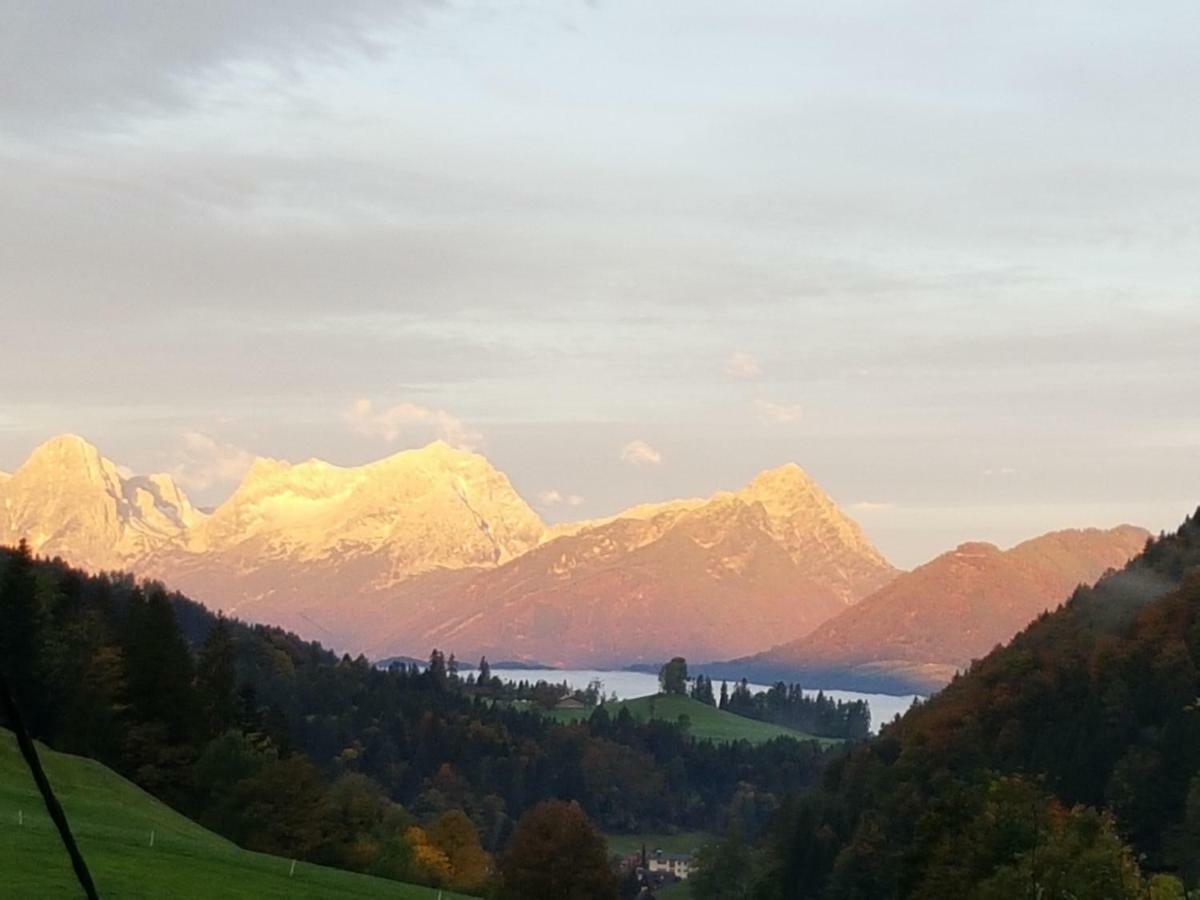 Biobauernhof Schoettelbauer Rosenau am Hengstpass Екстер'єр фото